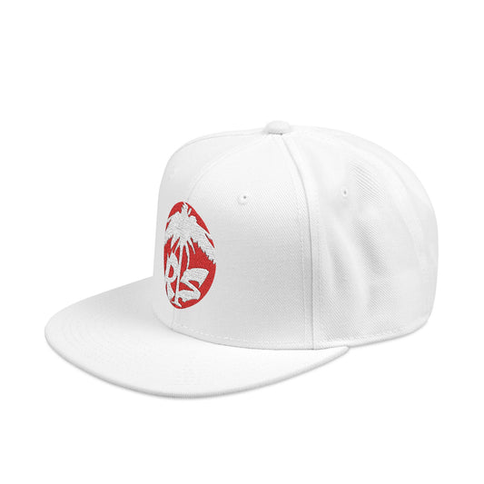 Embroidered Snapback Hat, Casual Streetwear Cap, Summer Outdoor Gear, Trendy Gift for Him, Customized Fashion Accessory